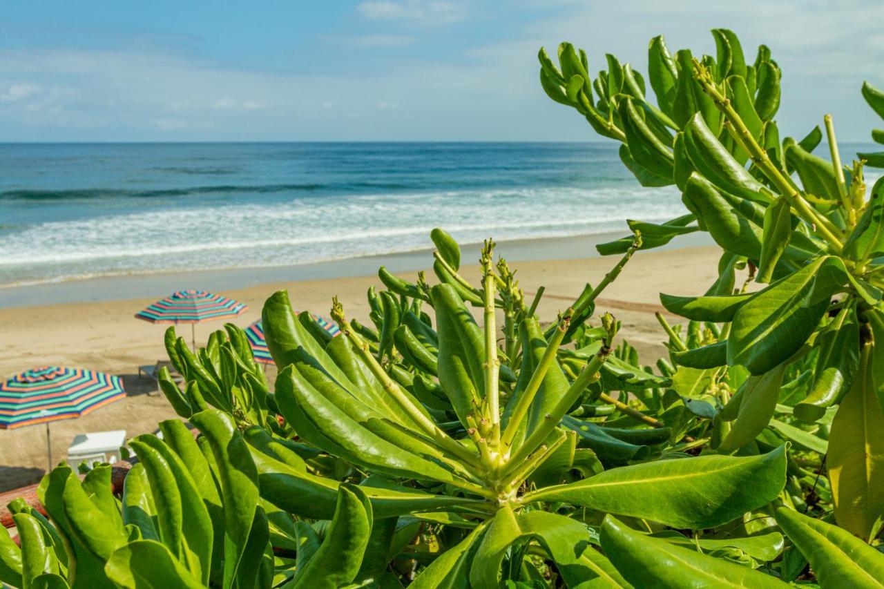 Marsai Hotel Boutique (Adults Only) Punta Mita Exterior photo